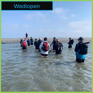 wadlopen