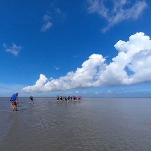 wadlopen