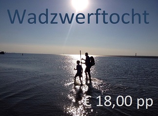 Wadzwerftocht