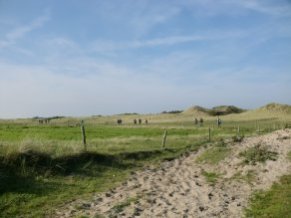 duinen