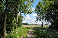 Fietspad Broekstermaar