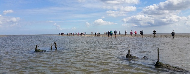 bedrijfsuitje schiermonnikoog