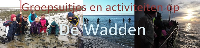 groepsuitjes wadden