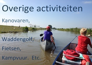 activiteiten