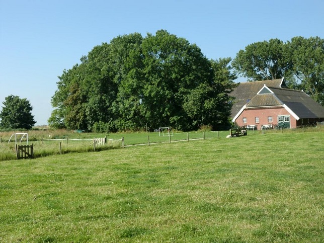 speelveld